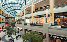 shopping